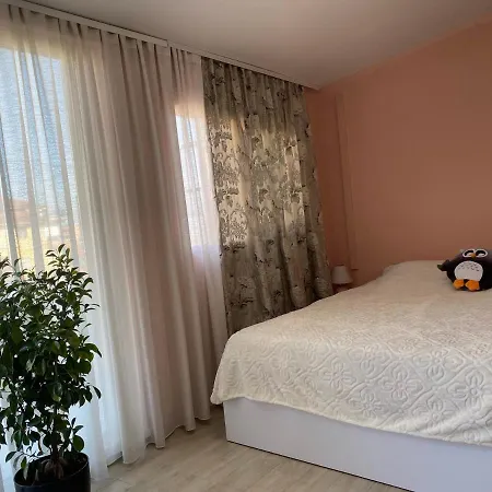 Apartment 1+1 For Rent Near The Center And Near The *